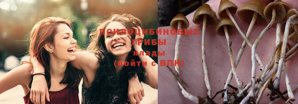 каннабис Верхний Тагил