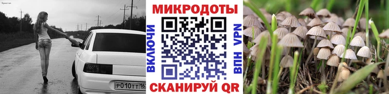 где купить наркотик  kraken ССЫЛКА  Галлюциногенные грибы прущие грибы  Прокопьевск 